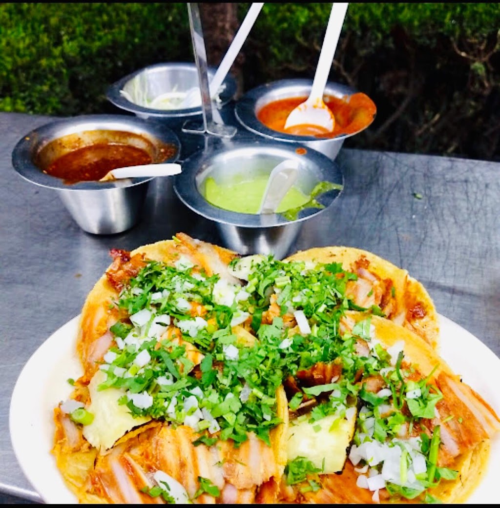 Taqueria Los Potrillos Miami | restaurant | 3937 NW 7th St, Miami, FL 33126, USA | 3054562002 OR +1 305-456-2002