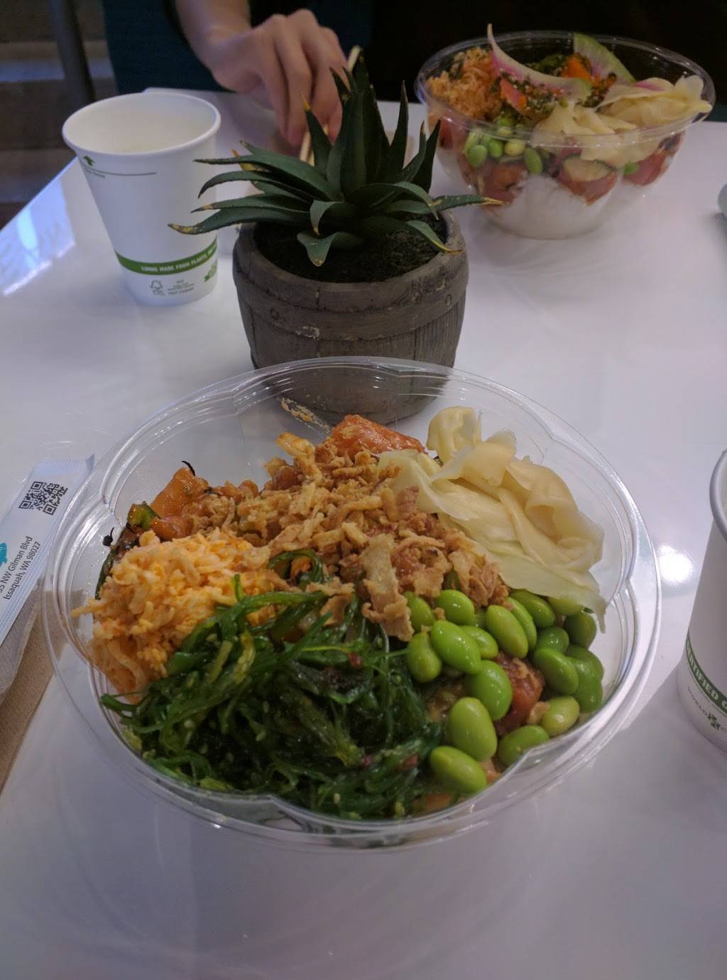 Just Poke | restaurant | 278 106th Ave NE, Bellevue, WA 98004, USA | 4255027386 OR +1 425-502-7386