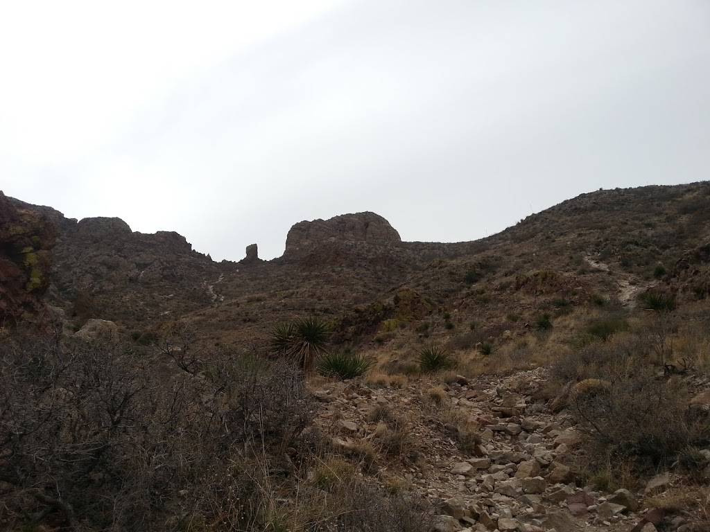 Burritos Crisostomo | restaurant | 5658 N Mesa St, El Paso, TX 79912, USA | 9153075356 OR +1 915-307-5356