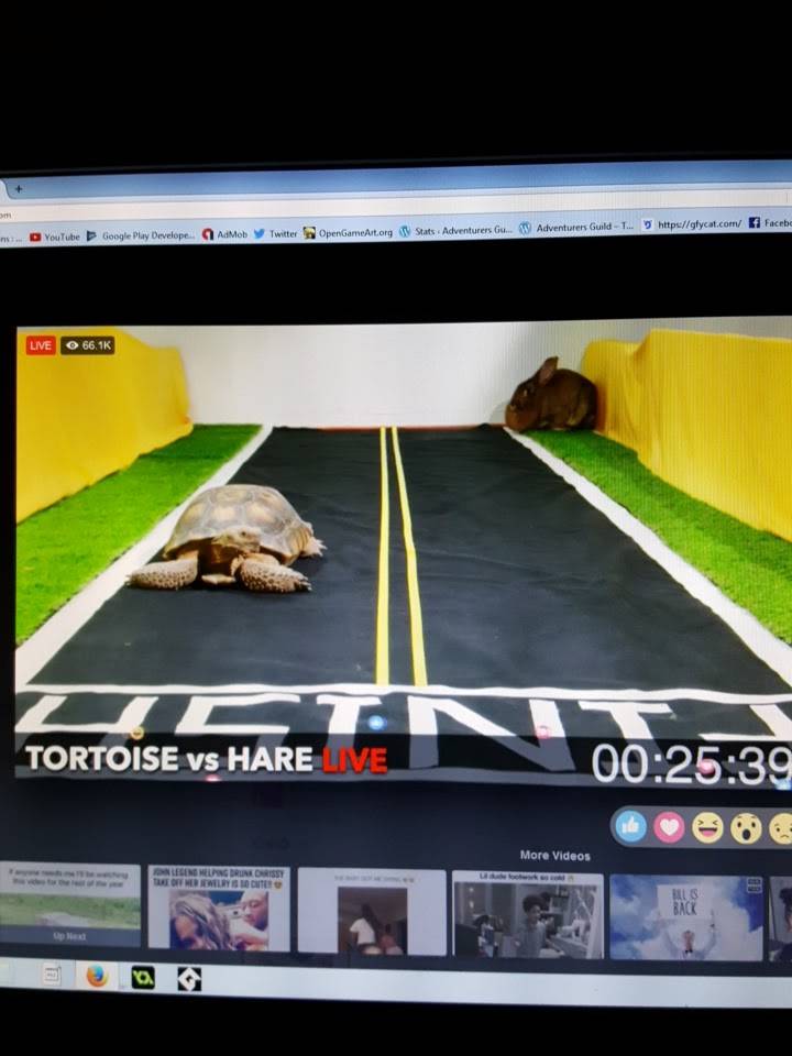 Subway | restaurant | 341 Talbot St N, Essex, ON N8M 2W3, Canada | 5197764853 OR +1 519-776-4853