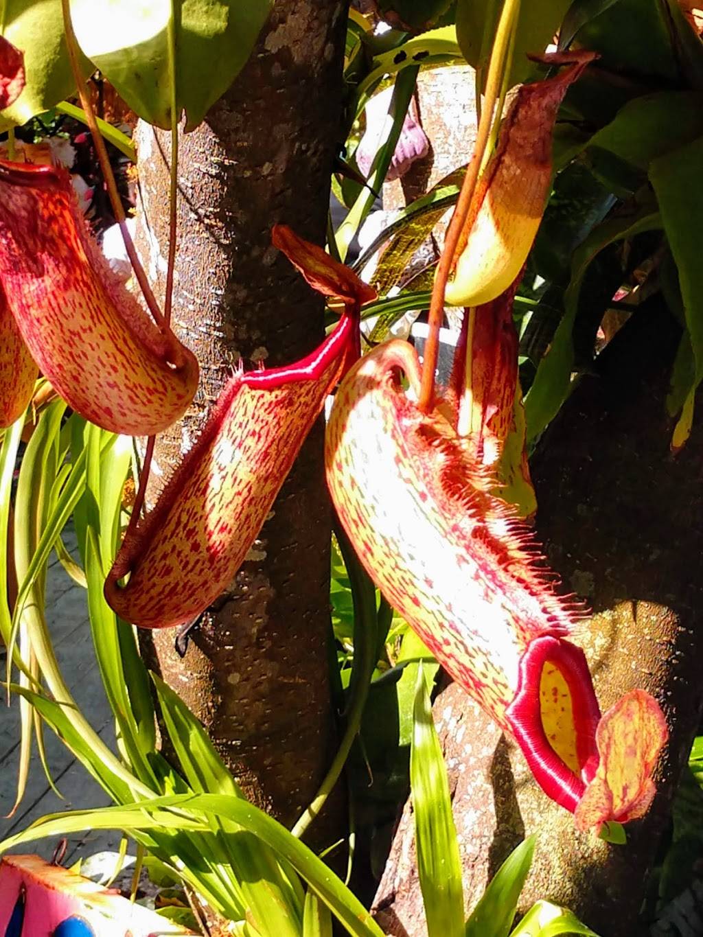 Sweet Sage Cafe | cafe | 16725 Gulf Blvd, North Redington Beach, FL 33708, USA | 7273910453 OR +1 727-391-0453