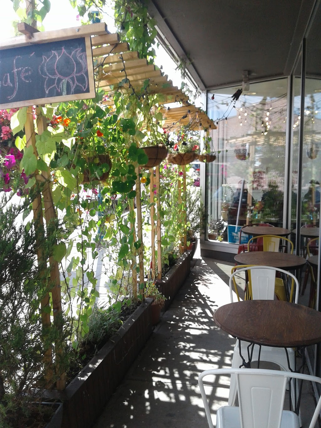 Ciderhouse Bar & Grill | restaurant | 150 Main St, Newport, VT 05855, USA | 8023341791 OR +1 802-334-1791