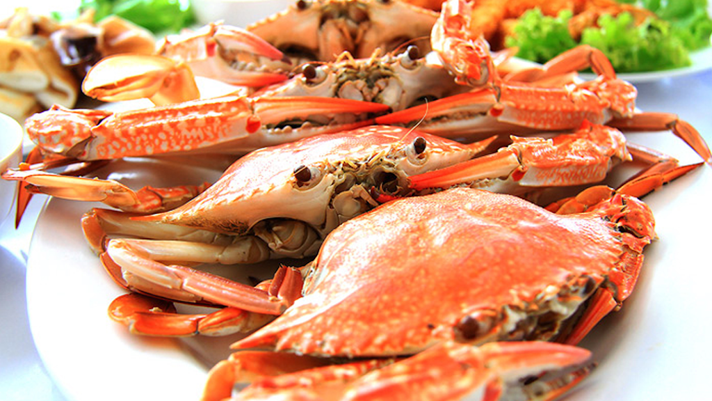 Big Jims Seafood House | restaurant | 2252 Industrial Hwy, York, PA 17402, USA | 7178945985 OR +1 717-894-5985