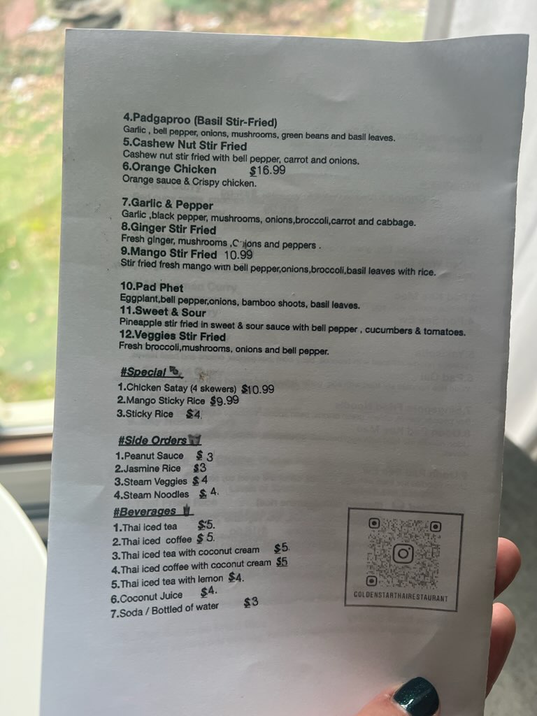 Gold Star Thai Restaurant | restaurant | 4765 Mahoning Ave, Youngstown, OH 44515, USA | 3309533889 OR +1 330-953-3889