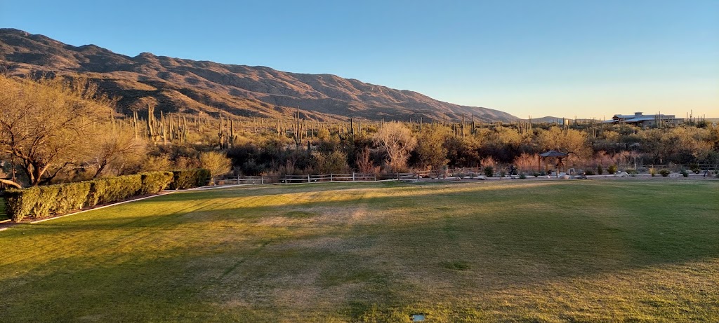 The Dog House Saloon at The Tanque Verde Ranch | restaurant | 14301 E Speedway Blvd, Tucson, AZ 85749, USA | 5202966275 OR +1 520-296-6275