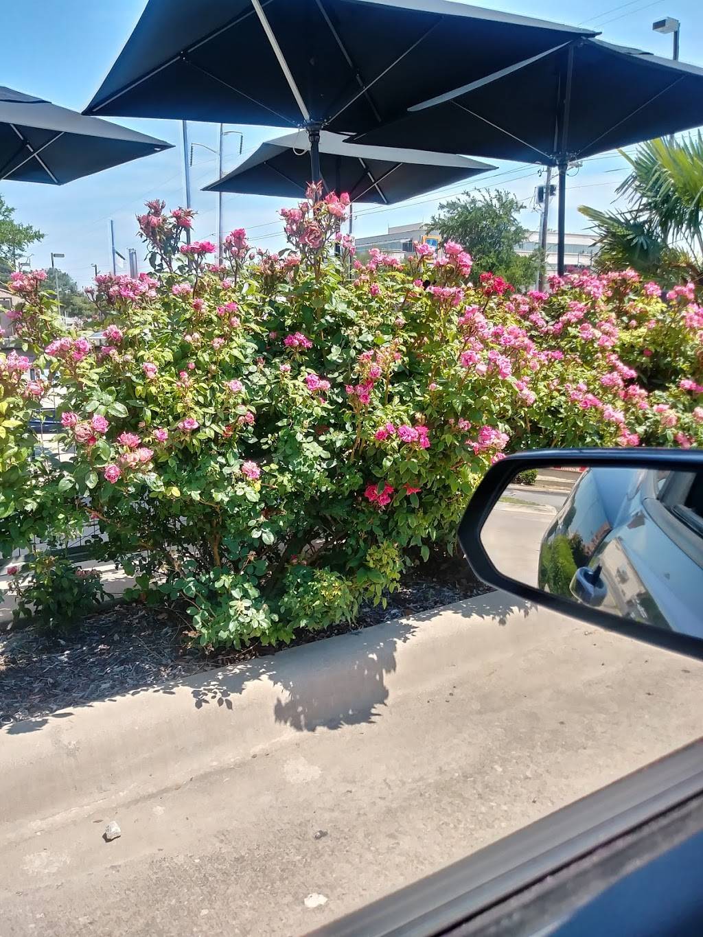 Starbucks | cafe | 1440 S Bowen Rd, Arlington, TX 76013, USA | 8172751190 OR +1 817-275-1190