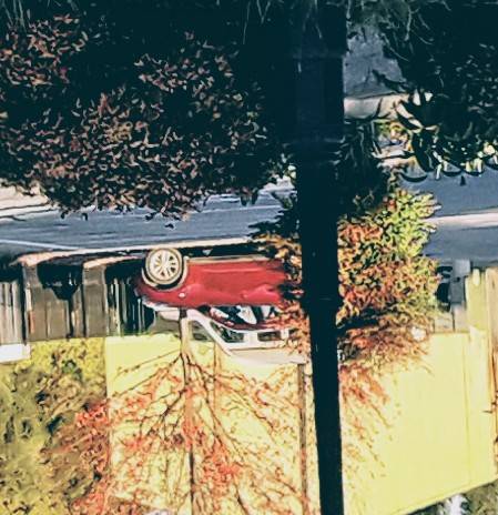 Dawg House | restaurant | 745 CA-174, Colfax, CA 95713, USA | 5303051663 OR +1 530-305-1663