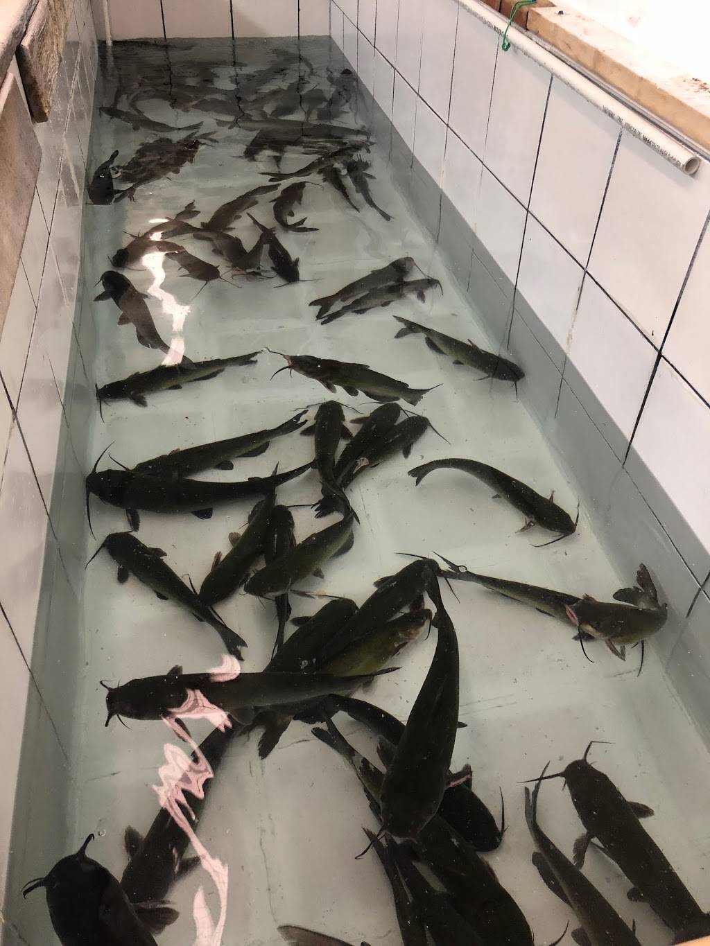 Casa Del Sol | restaurant | 8918 S Commercial Ave, Chicago, IL 60617, USA | 7736033424 OR +1 773-603-3424