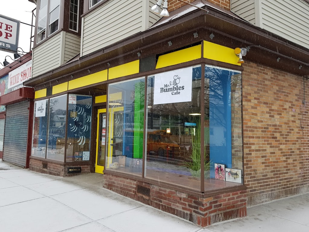 Mr Bumbles Cafe | restaurant | 263 New Scotland Ave, Albany, NY 12208, USA | 5188180622 OR +1 518-818-0622
