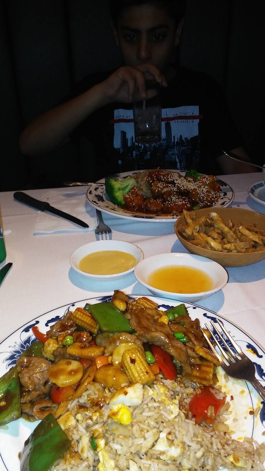 China New Star | restaurant | 1640 Forest Ave, Staten Island, NY 10302, USA | 7188155826 OR +1 718-815-5826