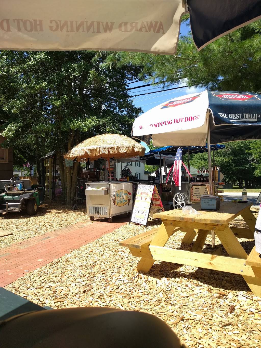 Hot Diggidy Dog | restaurant | 3970 Main St, Chatsworth, NJ 08019, USA | 6095193705 OR +1 609-519-3705