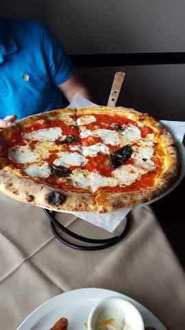 Pulcinella Wood-Fired Pizza | restaurant | 640 Federal Rd, Brookfield, CT 06804, USA | 2037400055 OR +1 203-740-0055