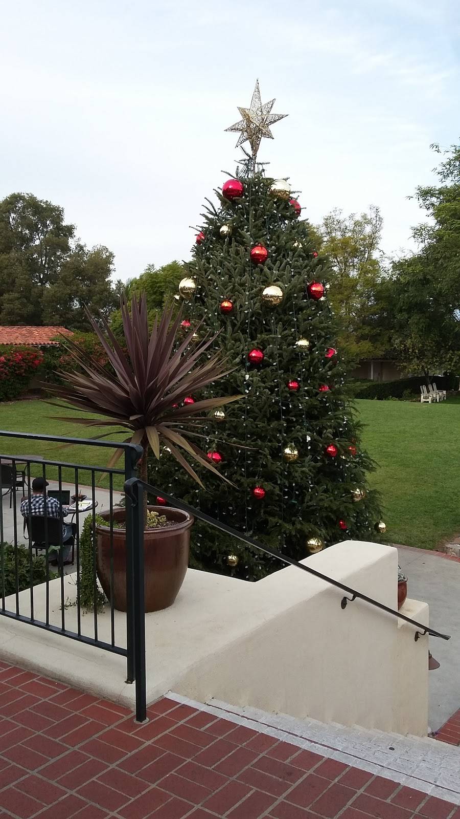 Morada Restaurant Rancho Santa Fe | restaurant | 5951 Linea Del Cielo, Rancho Santa Fe, CA 92067, USA | 8583818289 OR +1 858-381-8289