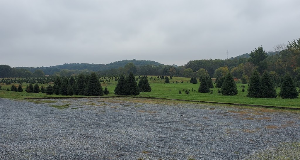 Elizabeth Farms | restaurant | 262 Hopeland Rd, Lititz, PA 17543, USA | 7176268733 OR +1 717-626-8733