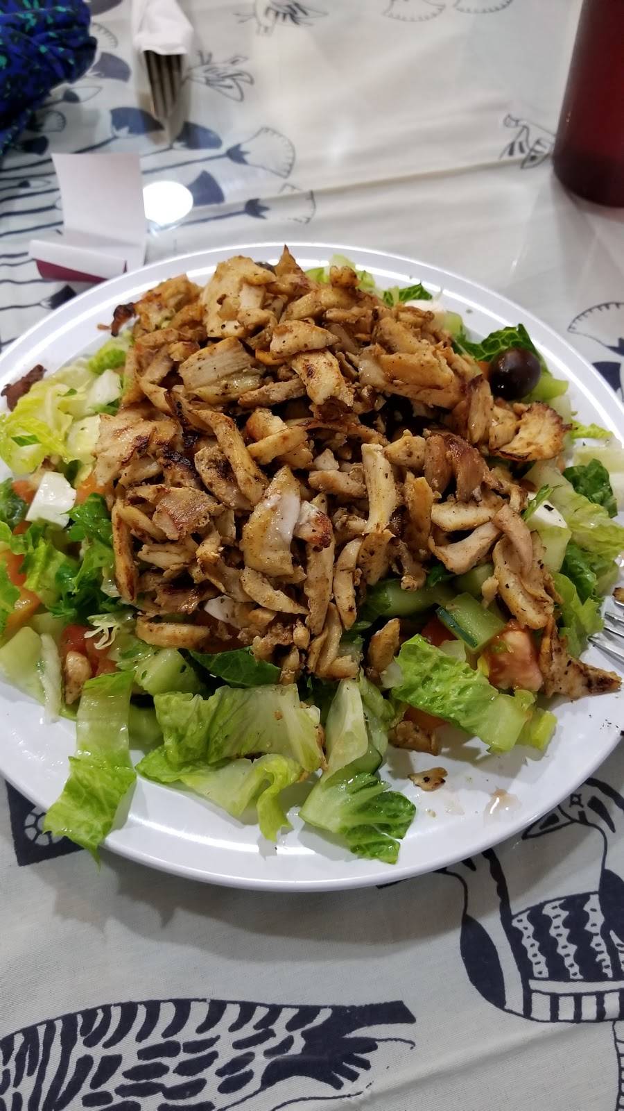 Cairo Kebab | restaurant | 1524 W Fullerton Ave, Chicago, IL 60614, USA | 7736878413 OR +1 773-687-8413