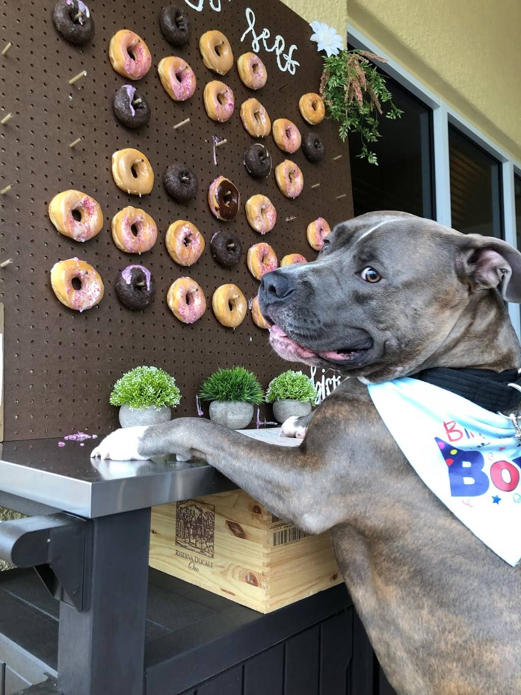 Bistro 424 | restaurant | 424 Luna Bella Ln STE 111, New Smyrna Beach, FL 32168, USA | 3864024657 OR +1 386-402-4657