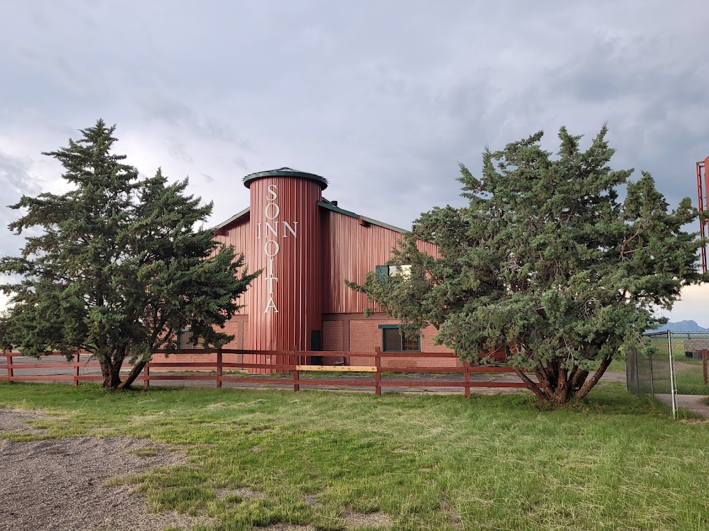 The Steak Out Restaurant & Saloon | restaurant | 3200 S Sonoita Hwy, Sonoita, AZ 85637, USA | 5204555205 OR +1 520-455-5205