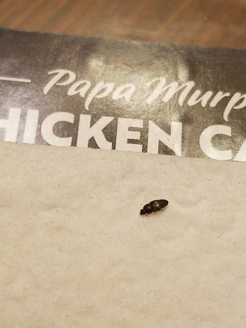 Papa Murphys Take N Bake Pizza | meal takeaway | 3440 Palmer Dr suite f, Cameron Park, CA 95682, USA | 5306764557 OR +1 530-676-4557