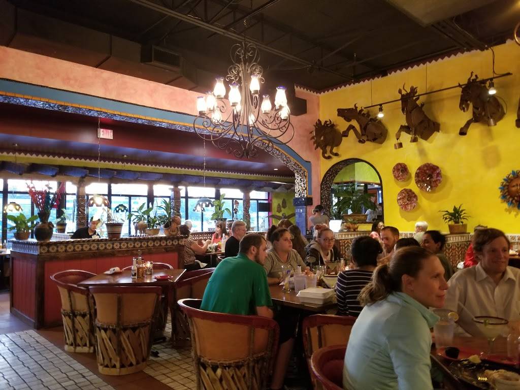 Ocho Cafe | restaurant | 330 N Main St, West Hartford, CT 06117, USA | 8603103063 OR +1 860-310-3063