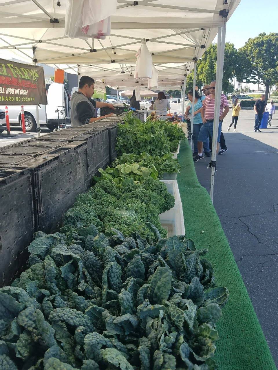 SOUTH BAY GALLERIA CERTIFIED FARMERS MARKET - Premier Market Pla | restaurant | 1815 Hawthorne Blvd, Redondo Beach, CA 90278, USA | 3233532385 OR +1 323-353-2385