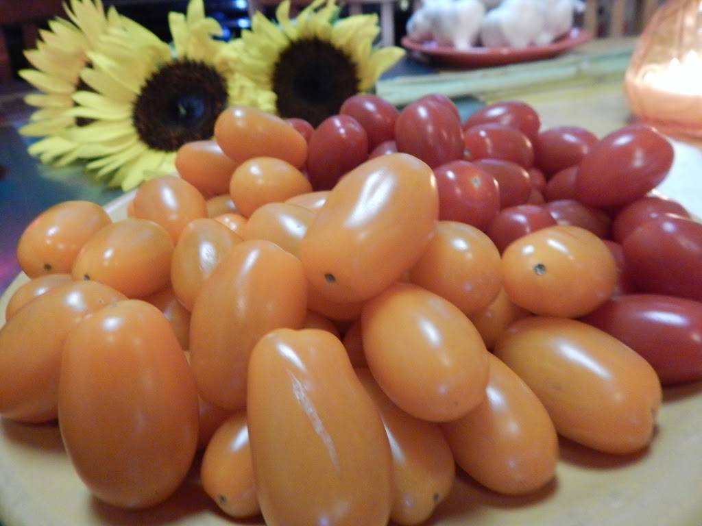 Pasta Bella Italian Restaurant | restaurant | 103 S Llano St, Fredericksburg, TX 78624, USA | 8309909778 OR +1 830-990-9778