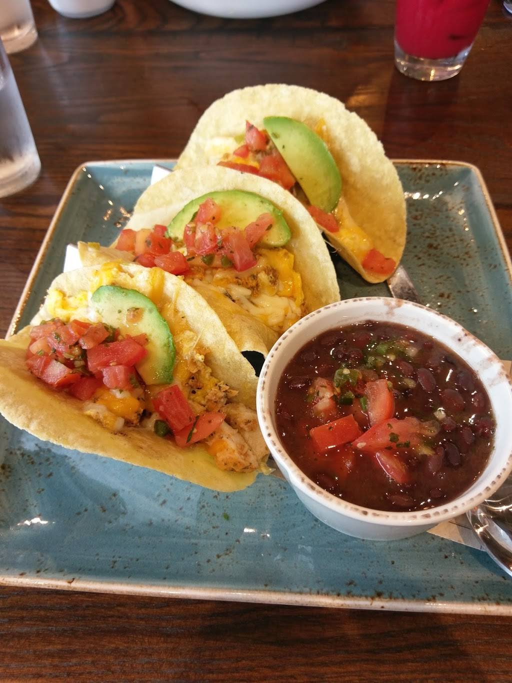 First Watch - 4th Street | cafe | 1345 4th St N, St. Petersburg, FL 33701, USA | 7274939796 OR +1 727-493-9796