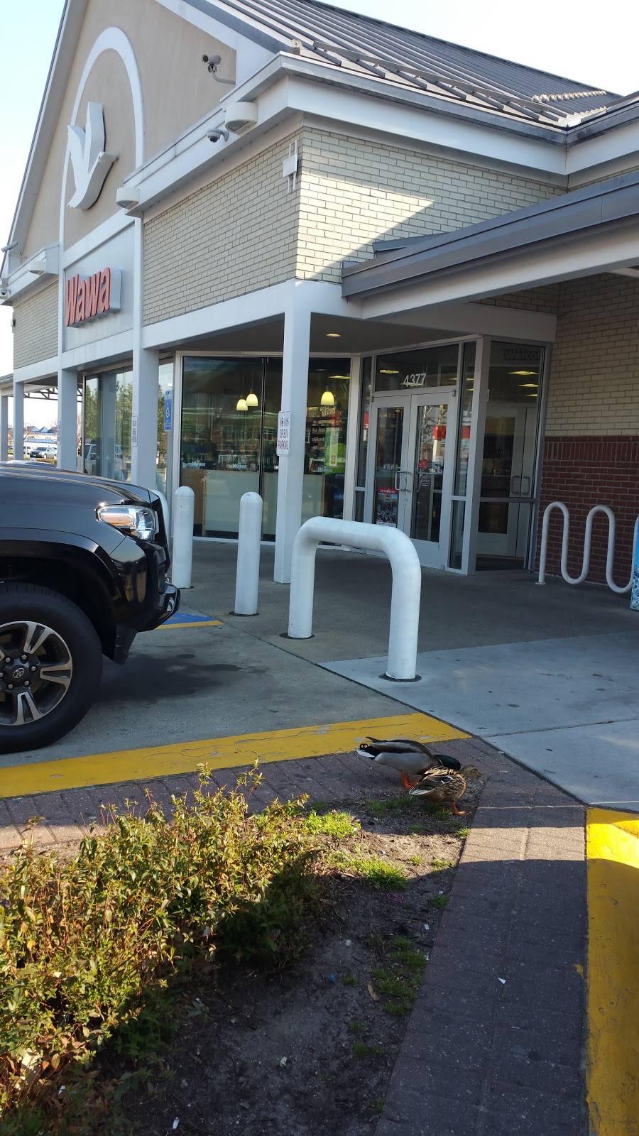 Wawa | cafe | 4377 Holland Road, Virginia Beach, VA 23452, USA | 7573266464 OR +1 757-326-6464