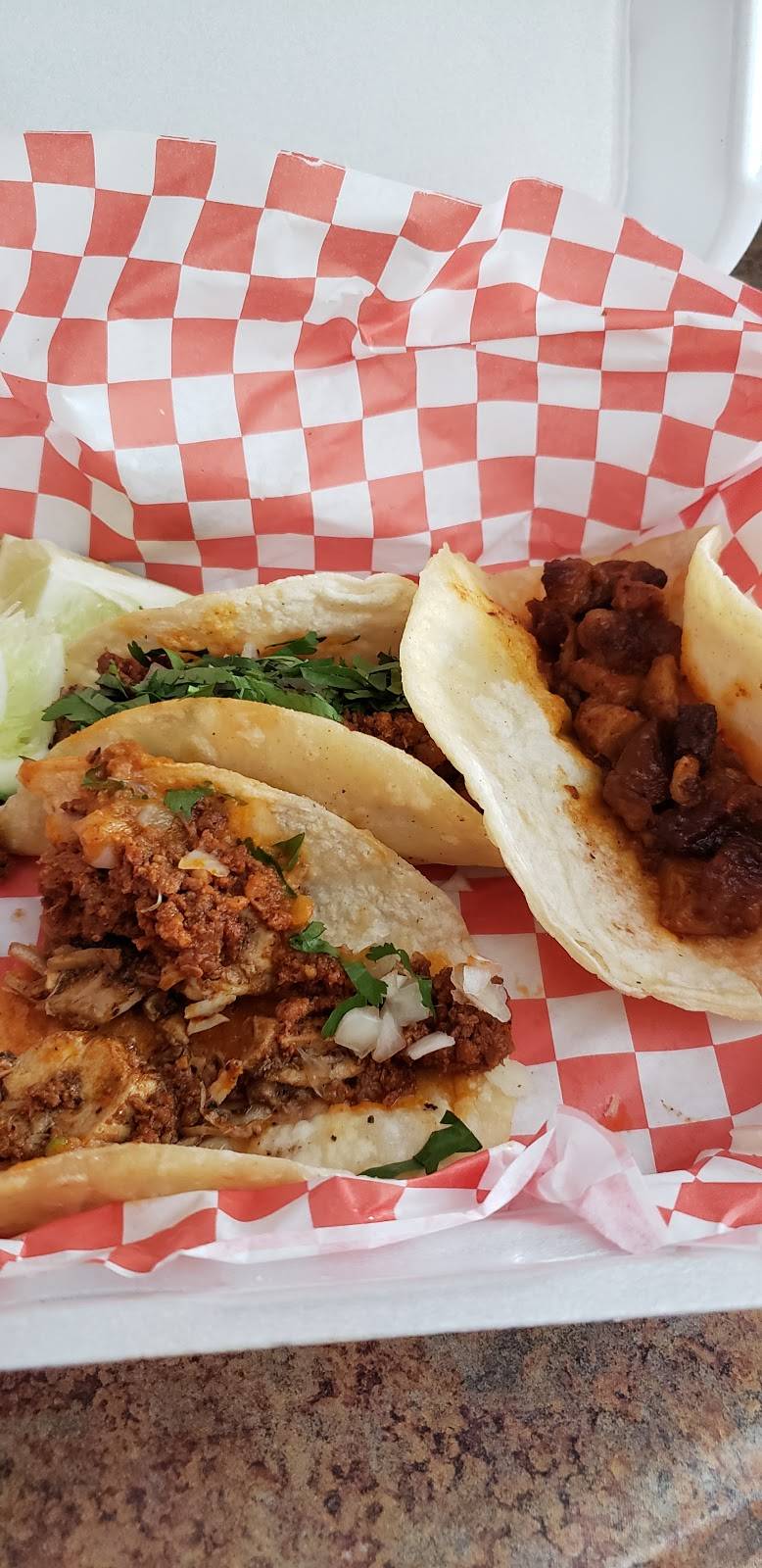 El Señor de Los Tacos | restaurant | 5919 W Linebaugh Ave, Tampa, FL 33624, USA | 8134759185 OR +1 813-475-9185