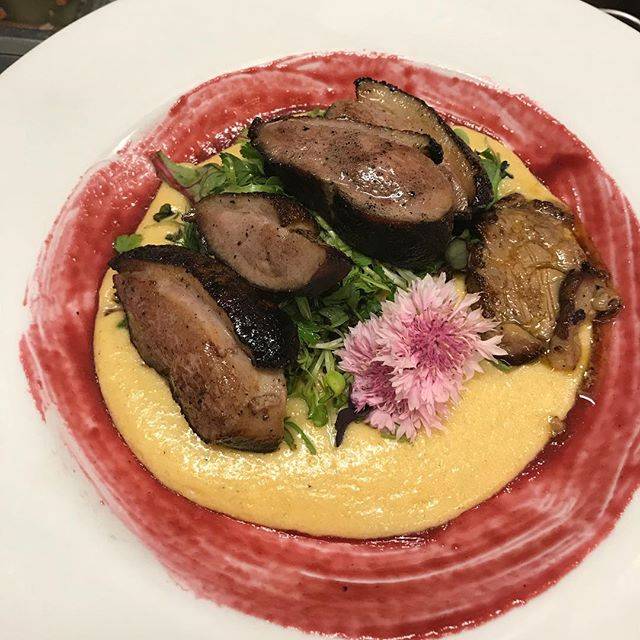 Sawmill Run Restaurant | restaurant | 12976 N Sabino Canyon Park, Mt Lemmon, AZ 85619, USA | 5205769147 OR +1 520-576-9147