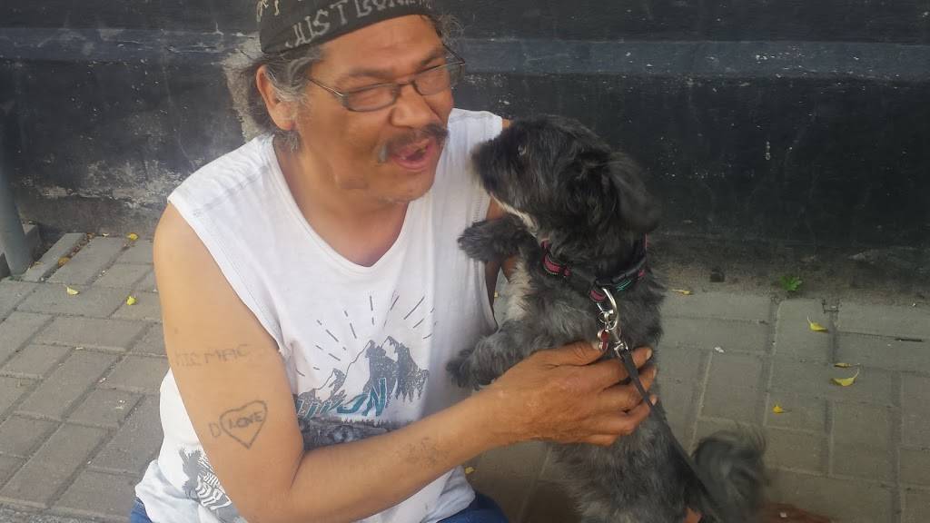 Petes Subs and Burgers | restaurant | 441 George St N, Peterborough, ON K9H 3R6, Canada | 7057421588 OR +1 705-742-1588