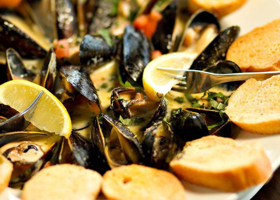 Riverhouse Reef & Grill | restaurant | 995 Riverside Dr, Palmetto, FL 34221, USA | 9417290616 OR +1 941-729-0616