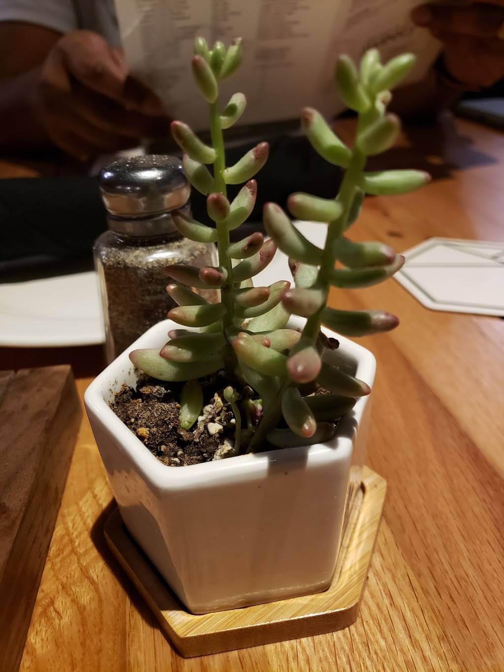 Park Restaurant & Bar | restaurant | 4380 Nocona Pkwy, Columbia, MO 65201, USA | 5735541955 OR +1 573-554-1955