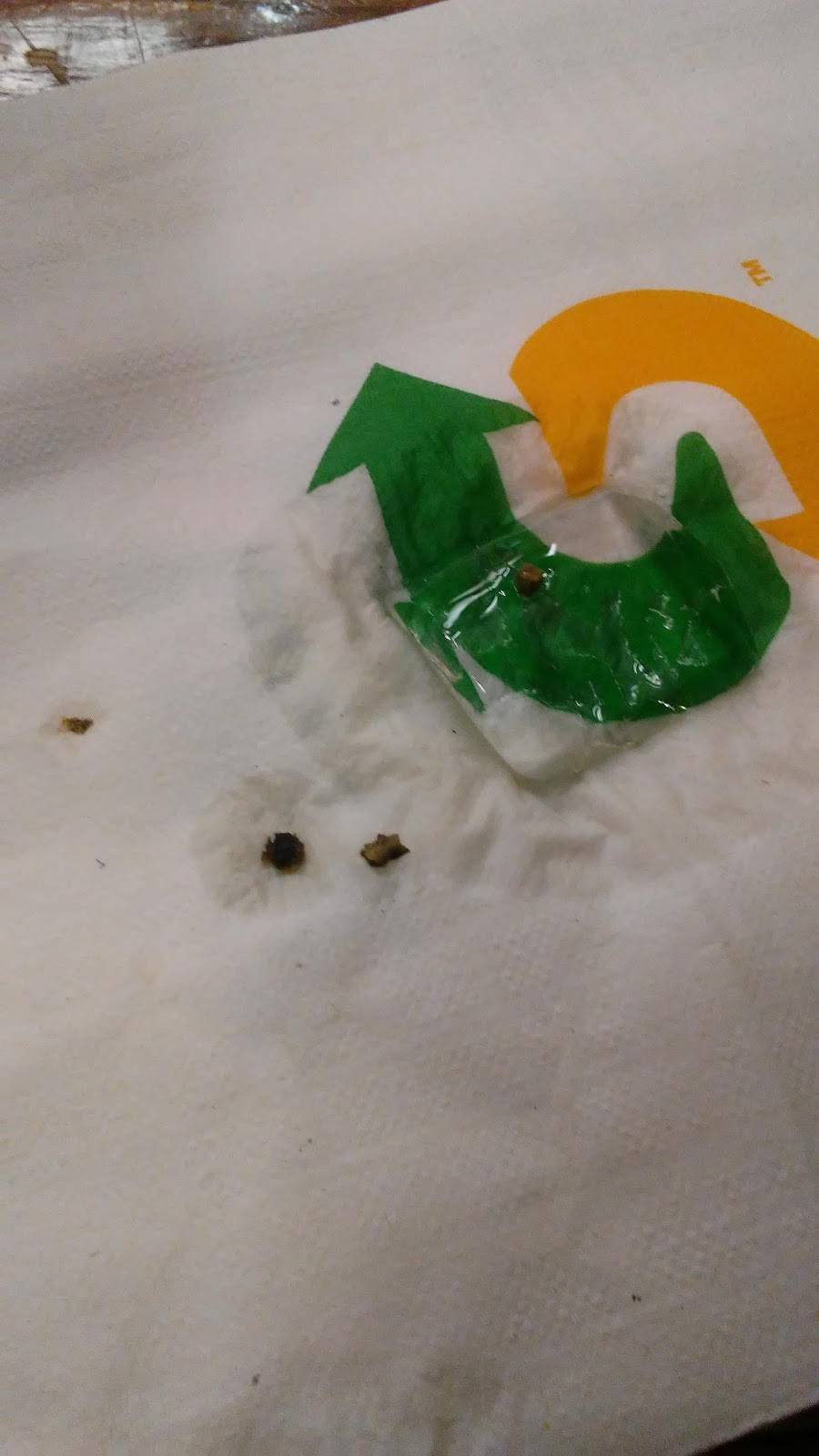 Subway | restaurant | 247 E Plaza Dr, Market Pl Unit 6, Mooresville, NC 28115, USA | 7046647827 OR +1 704-664-7827