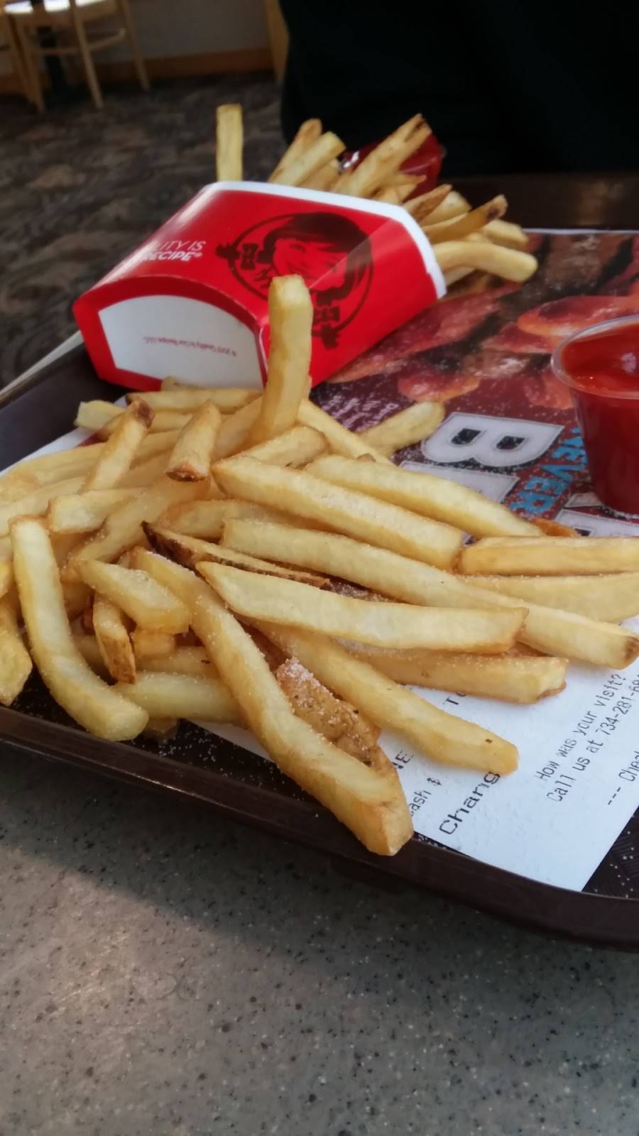 Wendys | restaurant | 3460 Biddle Ave, Wyandotte, MI 48192, USA | 7342816842 OR +1 734-281-6842