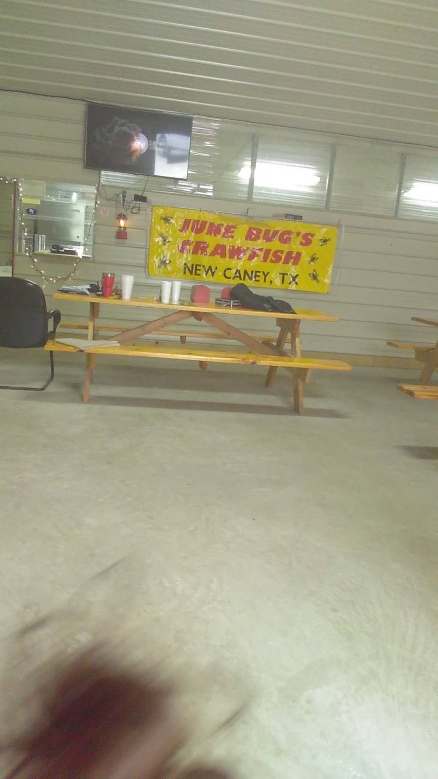 June Bugs Crawfish | restaurant | 21042 TX-494 Loop, New Caney, TX 77357, USA | 2813997681 OR +1 281-399-7681