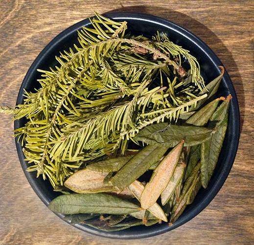 Maison de thé Cha Noir | cafe | 4611 Rue Wellington, Verdun, QC H4G 1X1, Canada | 5147691242 OR +1 514-769-1242