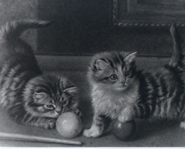 Towne Billiards Inc | restaurant | 17 Marne St, Hamden, CT 06514, USA | 2032817665 OR +1 203-281-7665