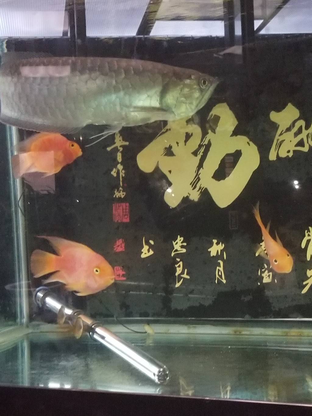 Panda Garden | restaurant | 9708 3rd Ave, Brooklyn, NY 11209, USA | 7186801126 OR +1 718-680-1126