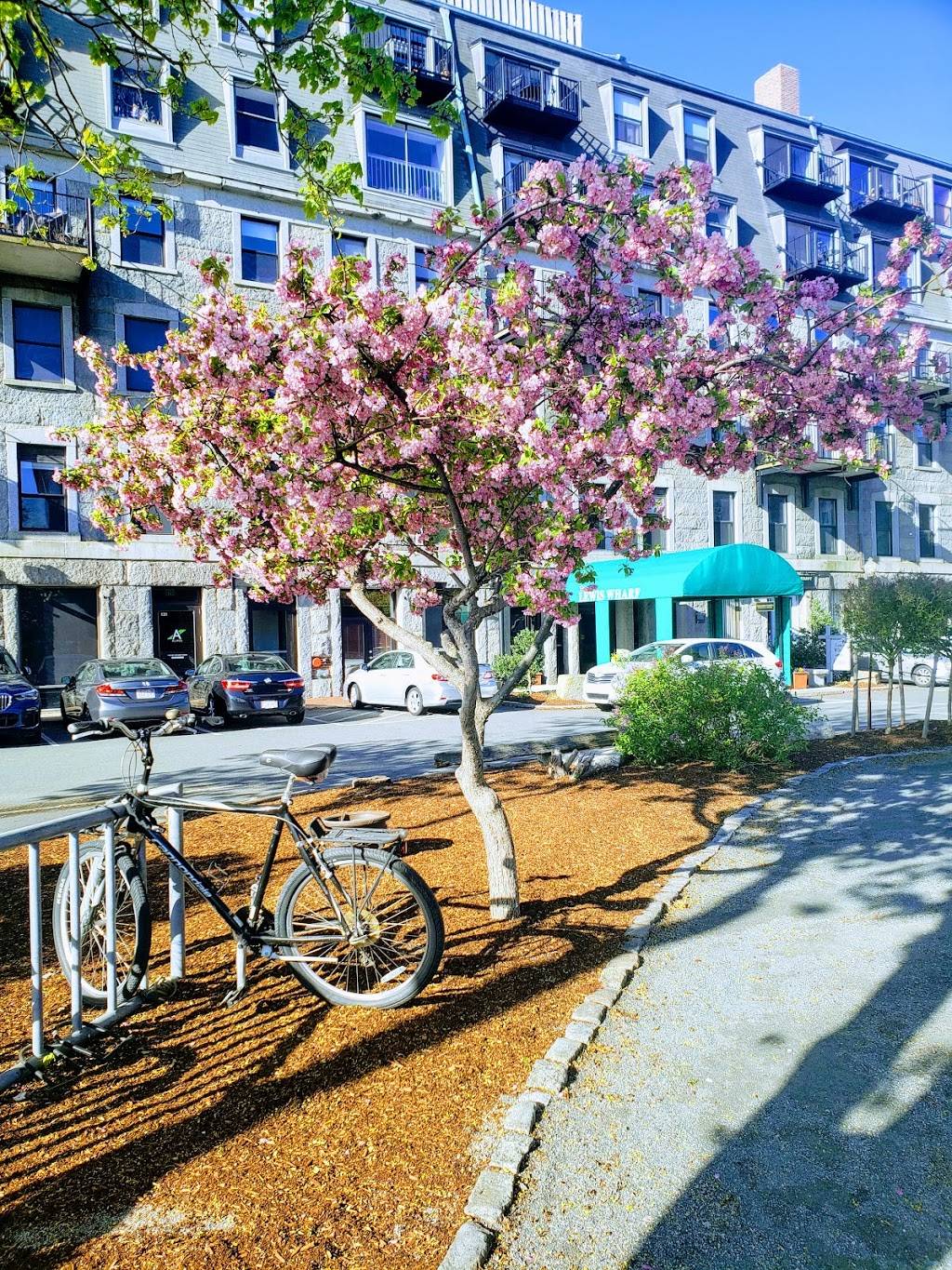 Starbucks | cafe | 2 Atlantic Ave, Boston, MA 02110, USA | 6177237819 OR +1 617-723-7819