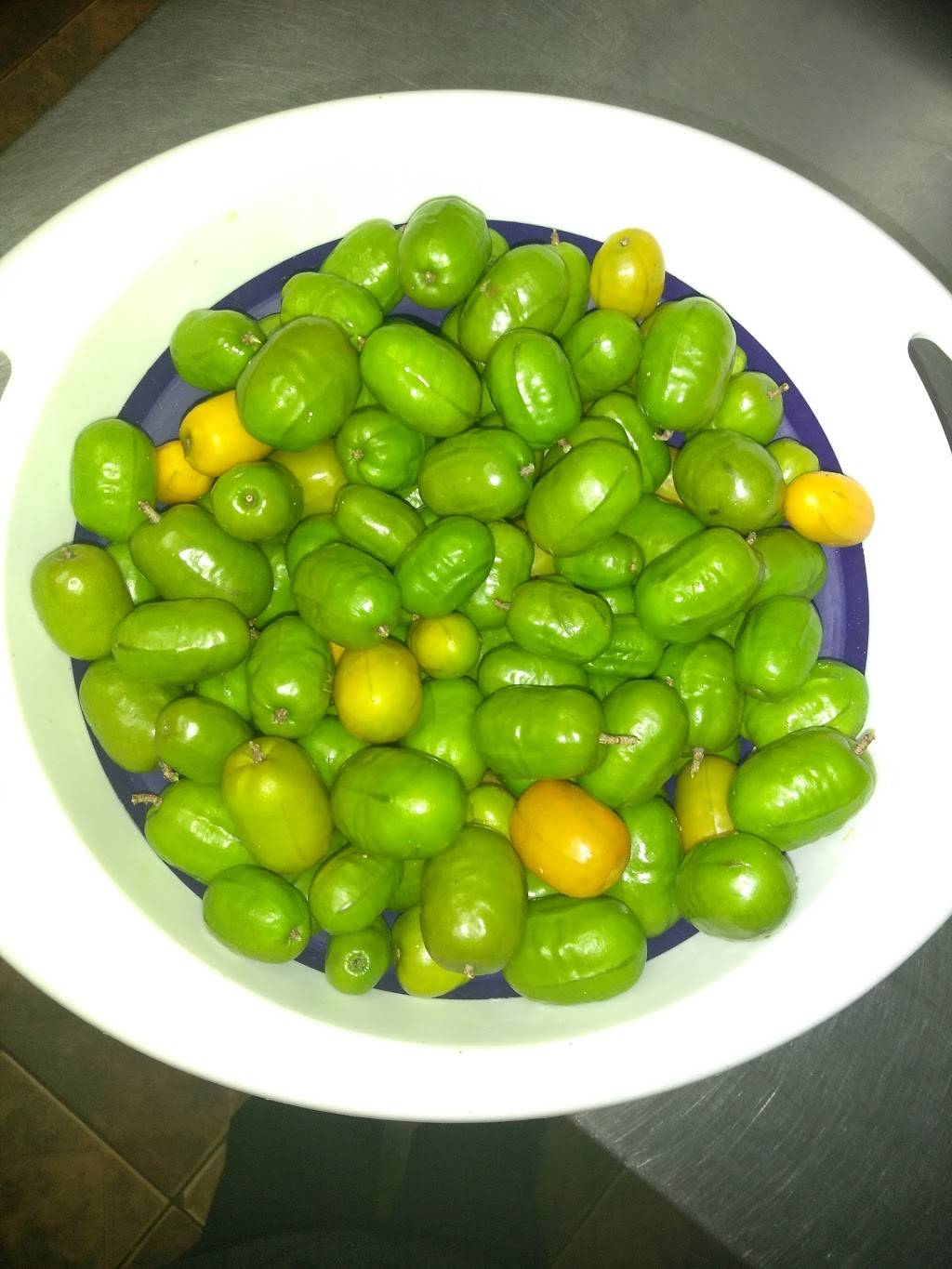 Latin Flavor | restaurant | 735 S State Rd 7, Plantation, FL 33317, USA | 9545846868 OR +1 954-584-6868