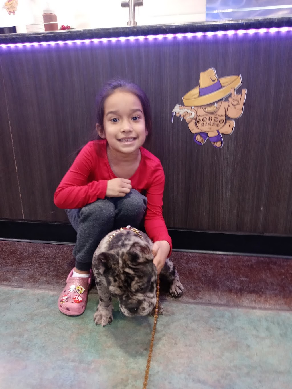 Gordo Ninos | restaurant | 1419 NASA Road 1, Houston, TX 77058, USA | 2812800090 OR +1 281-280-0090