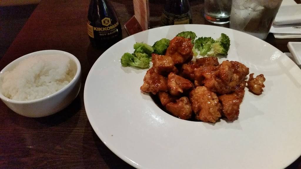 Sogo Fusion | restaurant | 1840 Hendersonville Rd, Asheville, NC 28803, USA | 8282773838 OR +1 828-277-3838