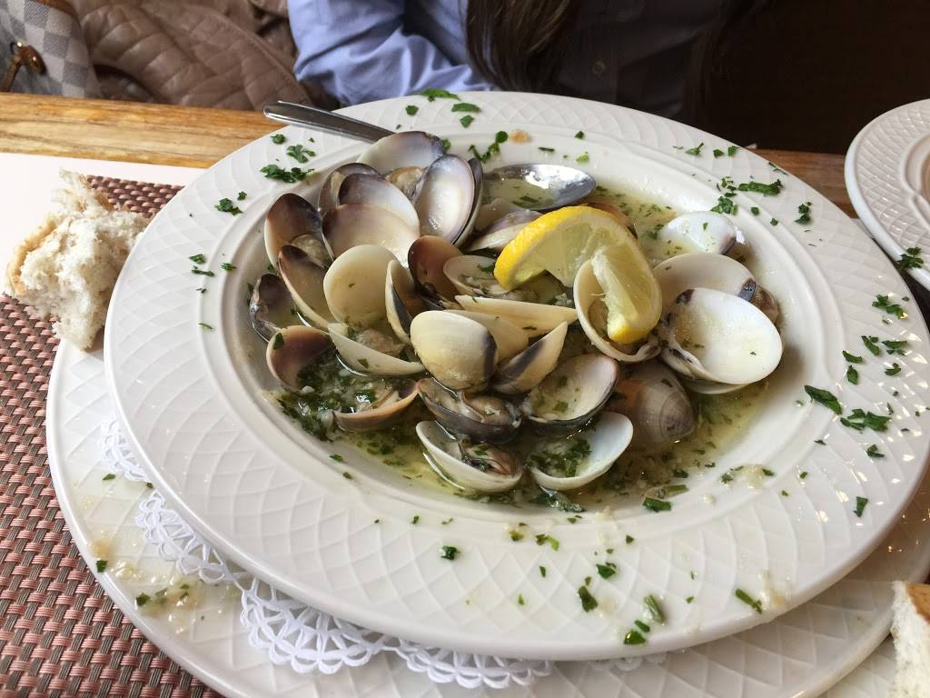 Georgios | restaurant | 149 E Lancaster Ave, Downingtown, PA 19335, USA | 6102693232 OR +1 610-269-3232