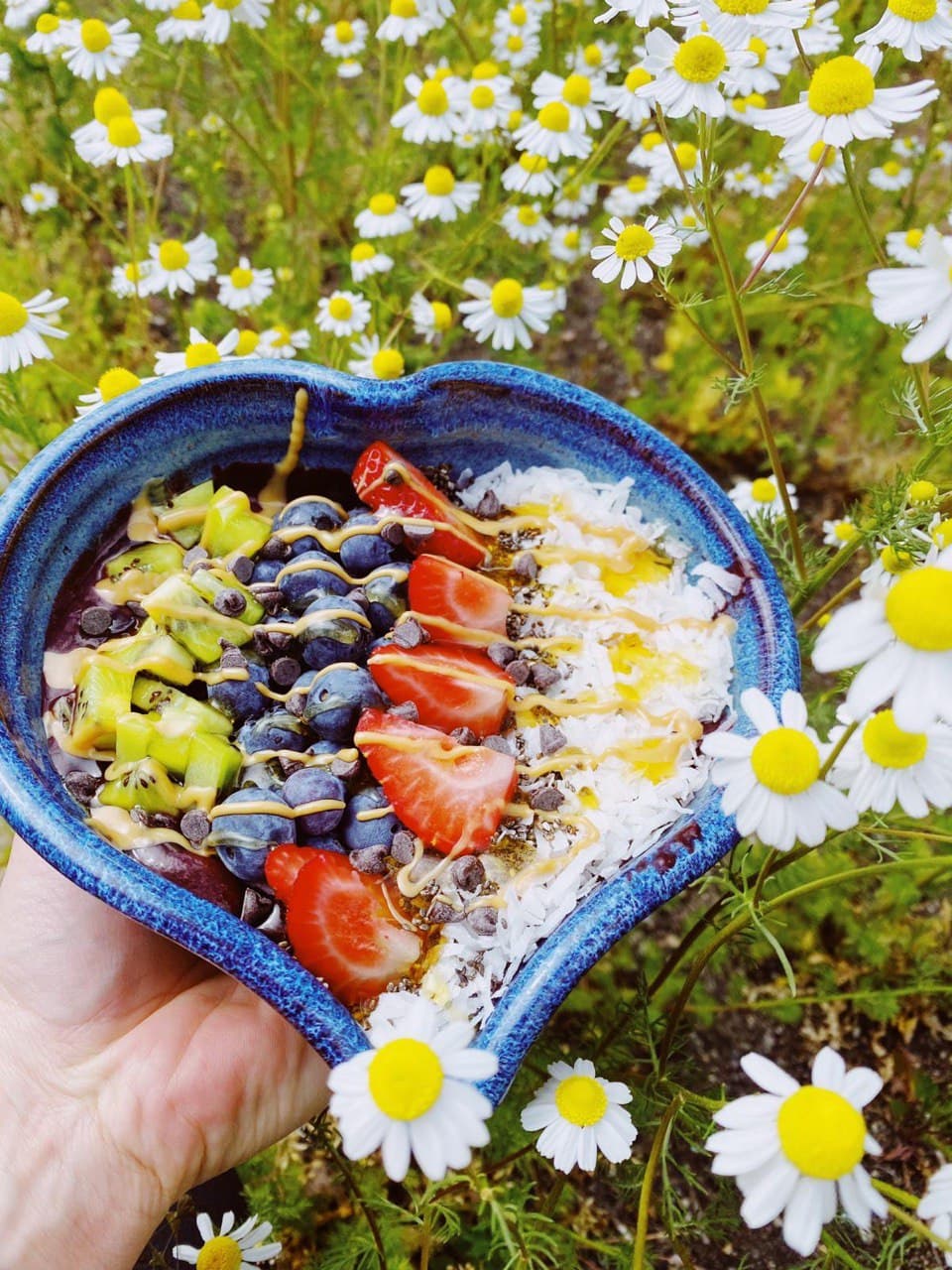 The Juice Bar Norwood | restaurant | 20 Broadway, Norwood, MA 02062, USA | 7812555539 OR +1 781-255-5539