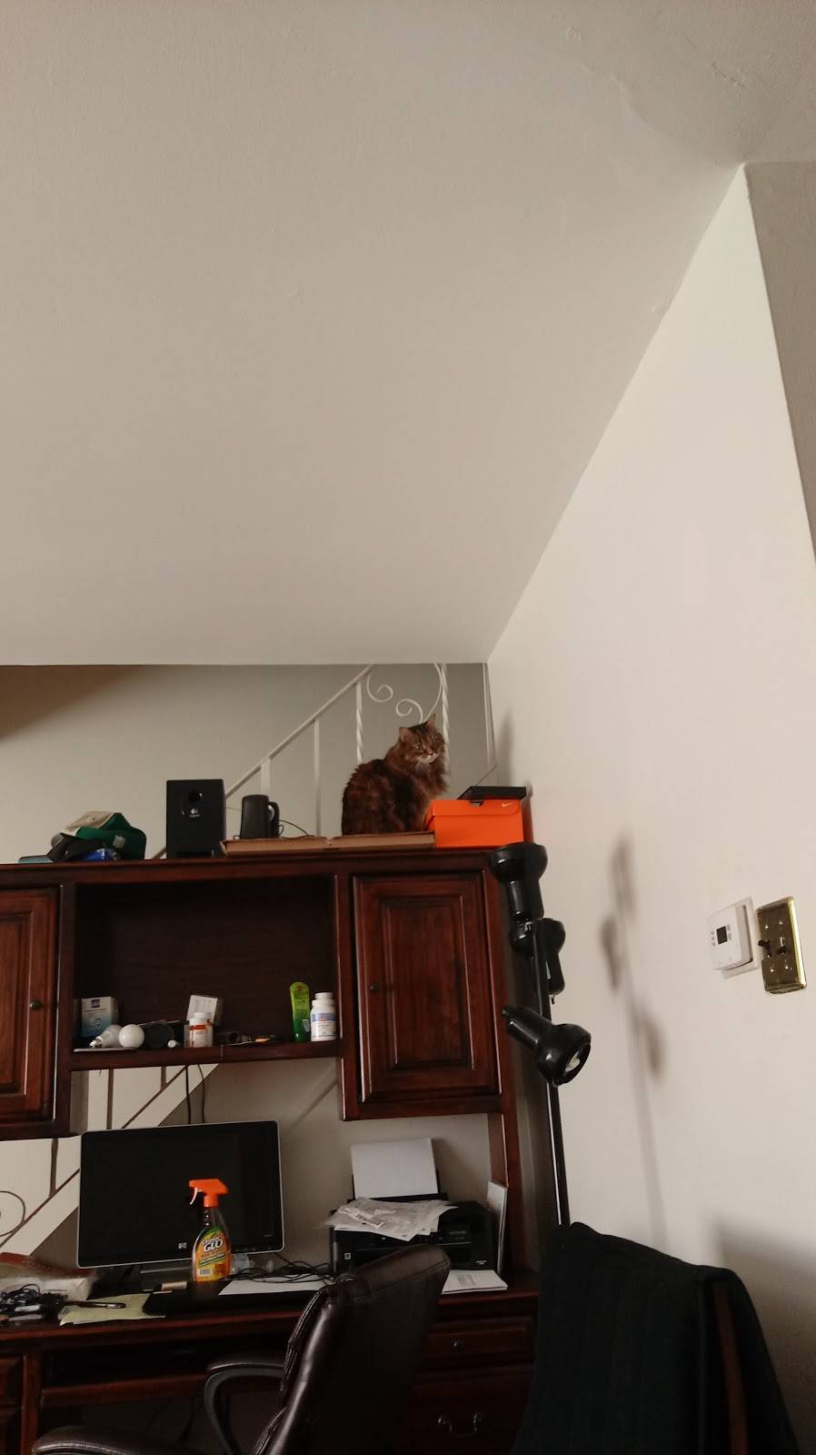 Ritas Italian Ice & Frozen Custard | restaurant | 3244 Red Lion Rd, Philadelphia, PA 19154, USA | 2156371936 OR +1 215-637-1936