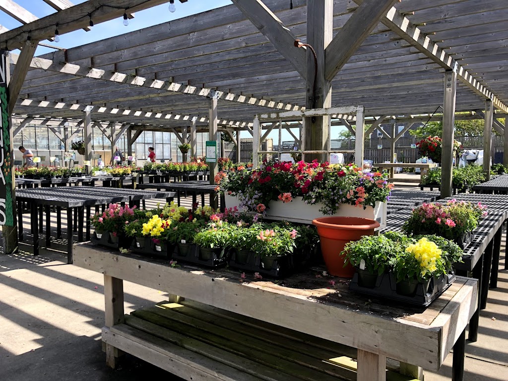 Bartletts Farm | bakery | 33 Bartlett Farm Rd, Nantucket, MA 02554, USA | 5082289403 OR +1 508-228-9403