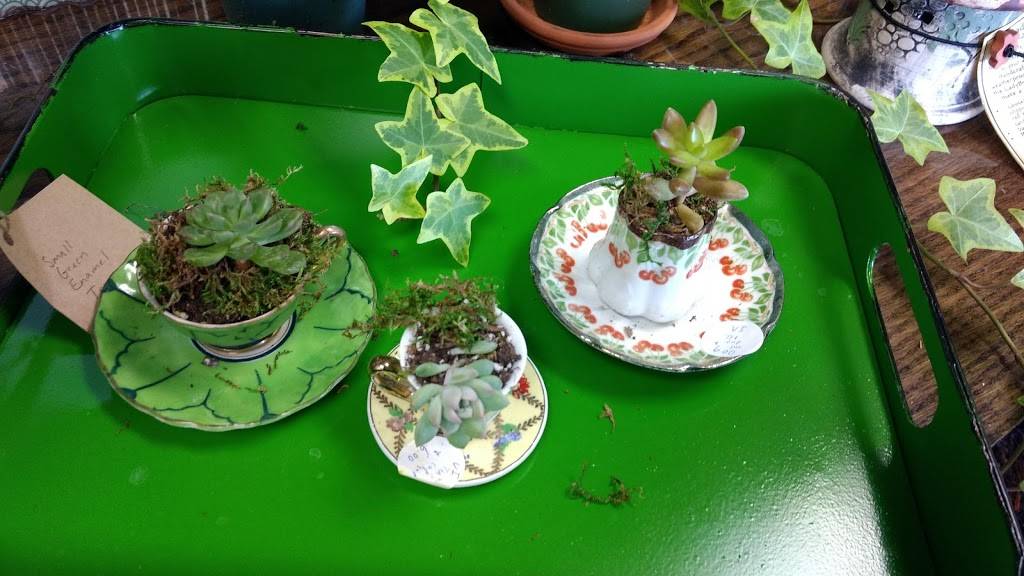 Samuel Mancinos Italian Eatery | restaurant | 52360 N Main St, Mattawan, MI 49071, USA | 2696688225 OR +1 269-668-8225