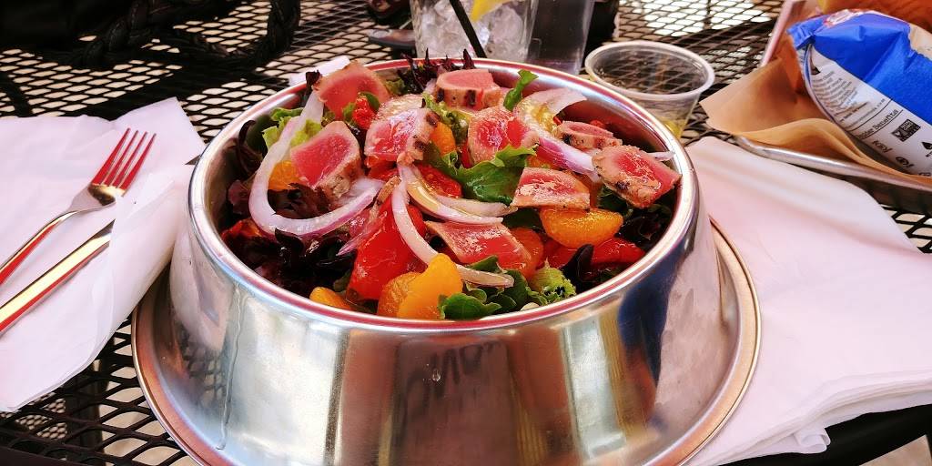 Pub Dog Colorado | restaurant | 2207 Bott Ave, Colorado Springs, CO 80904, USA | 7193750771 OR +1 719-375-0771