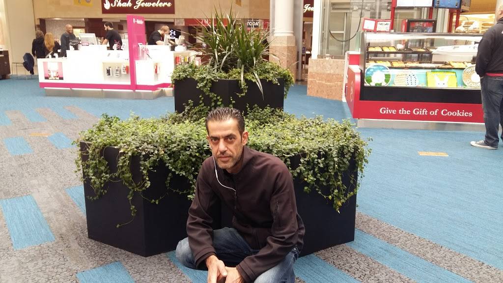 Sharks | restaurant | 3936 Broadway, Gary, IN 46408, USA | 2198844455 OR +1 219-884-4455