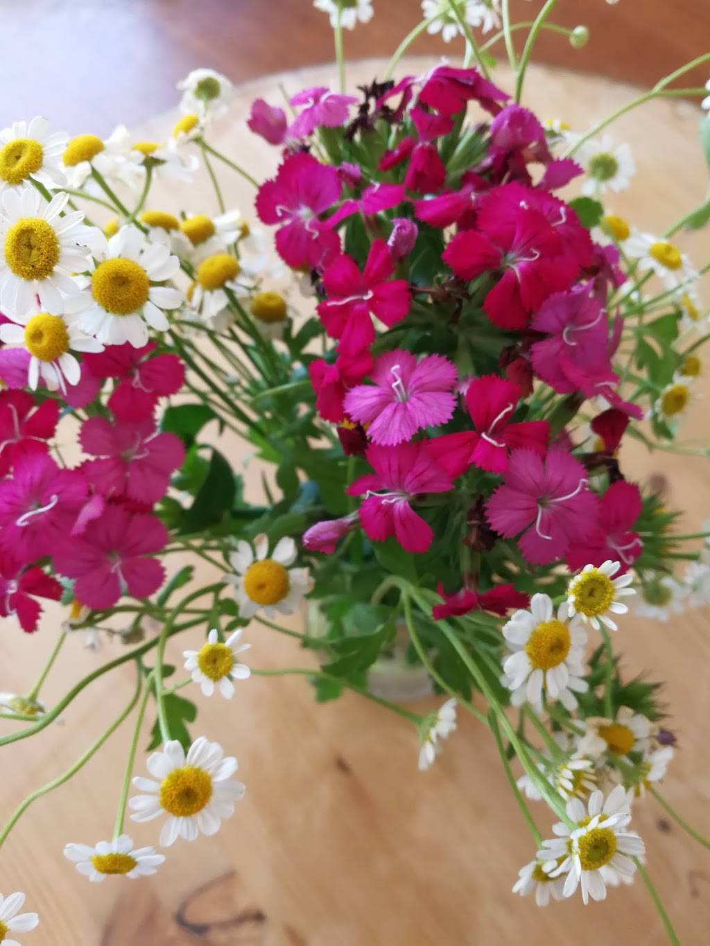 Jays Cafe | restaurant | 1414 Encinal Ave, Alameda, CA 94501, USA | 5107699030 OR +1 510-769-9030